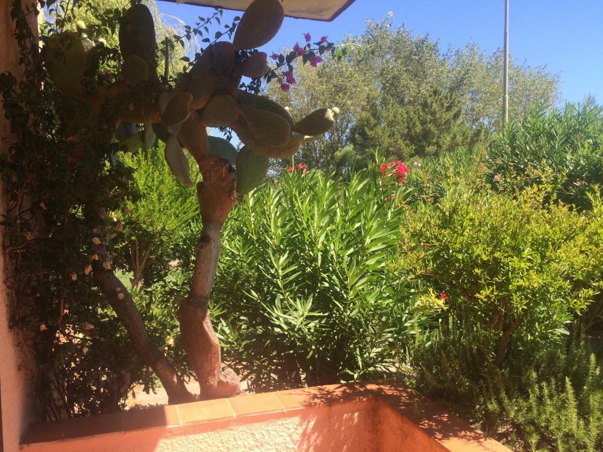 Bilocali Residenza Mediterranea Cannigione Eksteriør bilde
